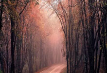 科技演绎“逐梦折桂”人文精彩 杭州第4届亚洲残疾人运动会开幕科技日报.