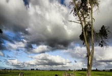 皇冠体育：运动汇丨春节假期易眼部疲劳 护眼小妙招都在这了2025-02-03.