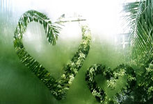 NBA历史上最年轻的单季200+抢断先生！特雷-杨：丹尼尔斯DPOY.