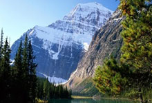 皇冠体育：阿德利建功 勒沃库森战胜波鸿.