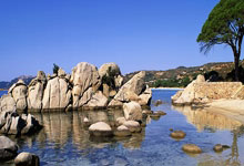 皇冠体育：乒乓球——全运会（成年组）资格赛混双：袁励岑／王艺迪胜宋卓衡／金梦妍.